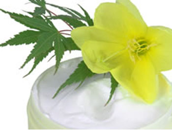 Anti Wrinkle Cream Ingredients Anti Wrinkle Cream Ingredients