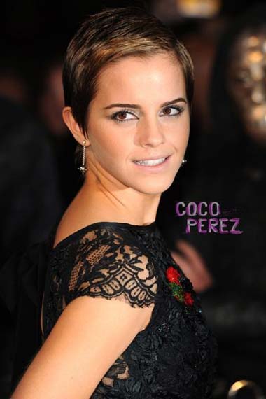 Emma Watson Style Hairstyles, Long Hairstyle 2011, Hairstyle 2011, New Long Hairstyle 2011, Celebrity Long Hairstyles 2019