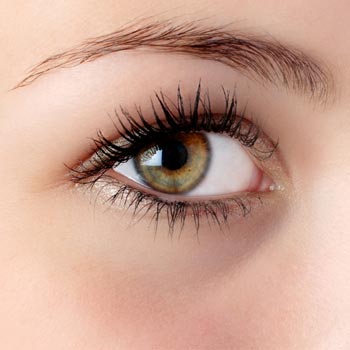 Eyelashes Grow Back