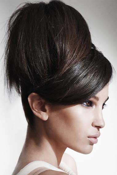 Updo Hairstyles Modern