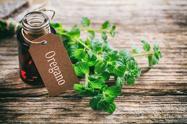 Oregano Essential Oil To Treat Rosacea