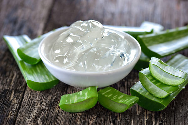 Aloe Vera Gel Kills Microorganisms