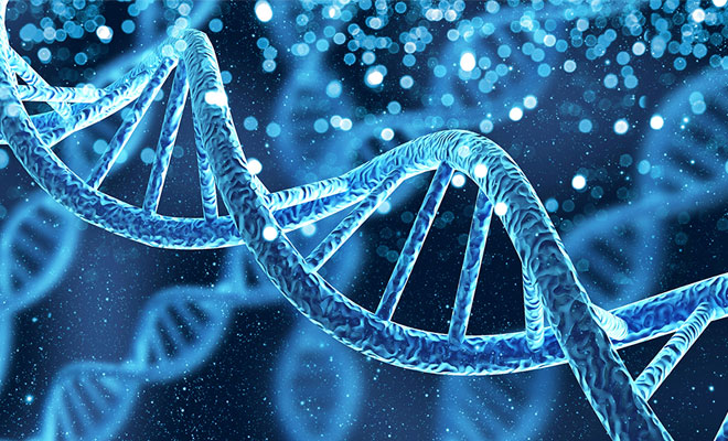 Causes of Genetics for Turkey Neck