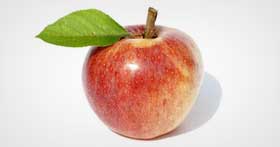 Malus Domestica (Apple)