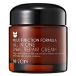 Mizon All In One Snail Repair Cream Reviews – Is It Best Product?